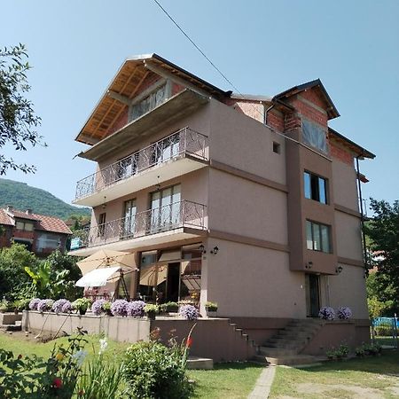 Guest House Dimitrije 니슈카 바냐 외부 사진