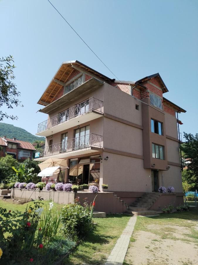 Guest House Dimitrije 니슈카 바냐 외부 사진