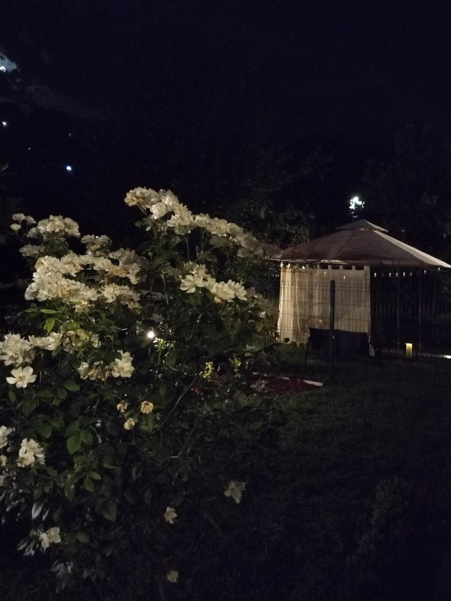 Guest House Dimitrije 니슈카 바냐 외부 사진