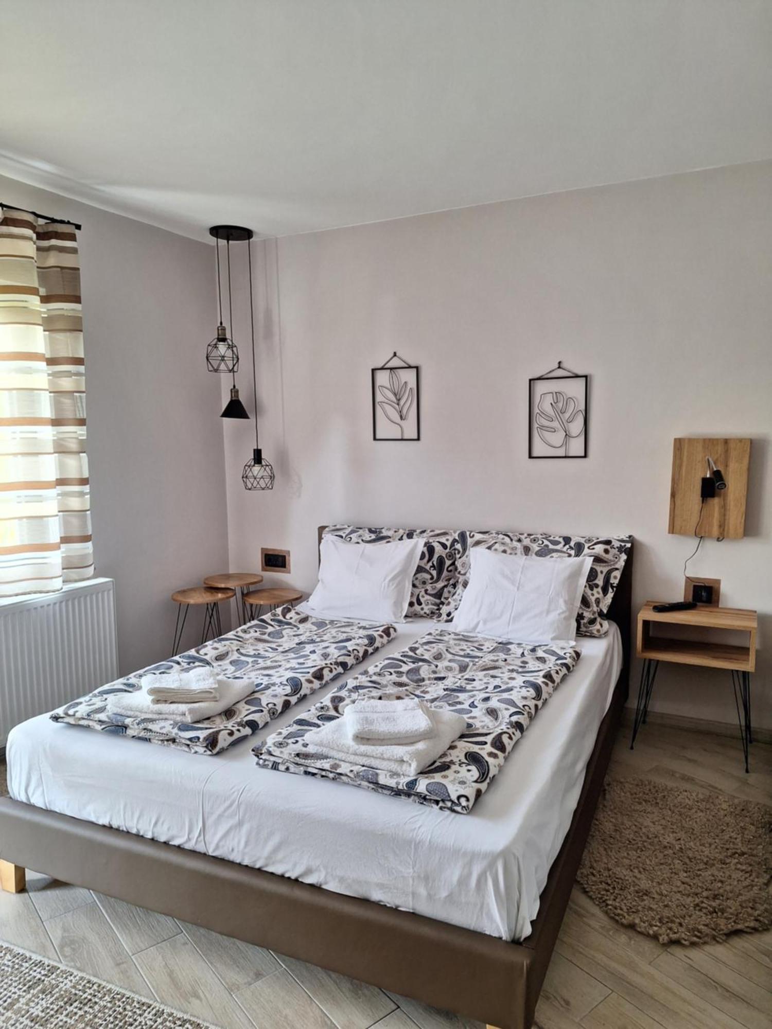 Guest House Dimitrije 니슈카 바냐 외부 사진