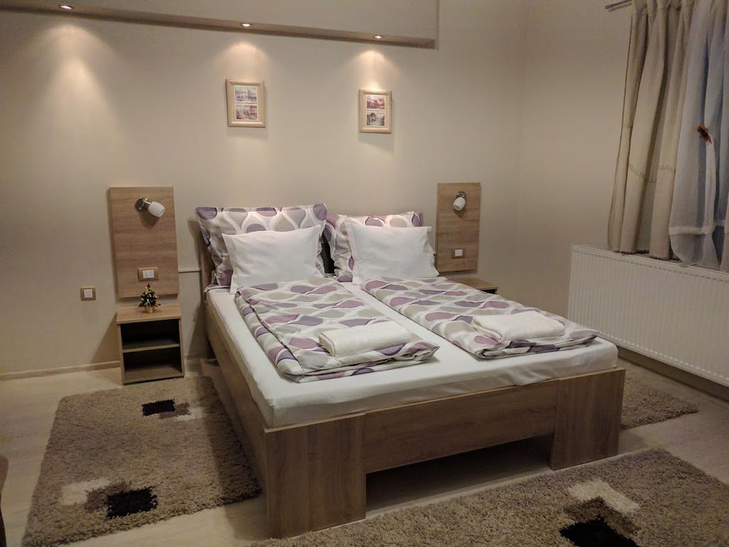 Guest House Dimitrije 니슈카 바냐 외부 사진