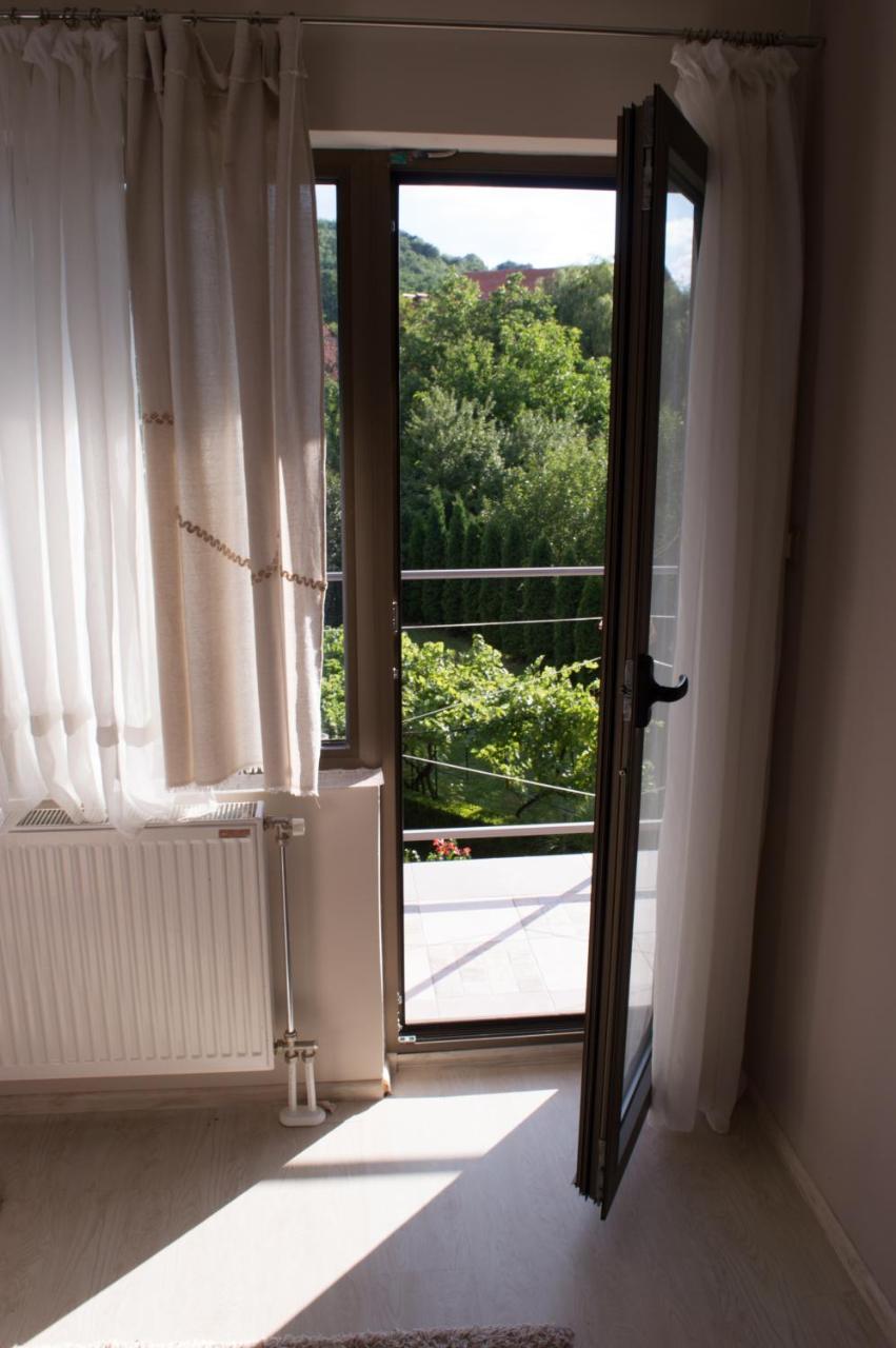 Guest House Dimitrije 니슈카 바냐 외부 사진